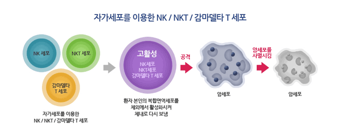 대한용양병원 면역세포치료